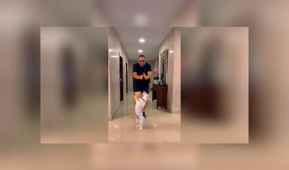 Desliza las imágenes hacia la izquierda para apreciar los impresionantes movimientos de un pequeño perro. Desliza las imágenes hacia la izquierda para apreciar los impresionantes movimientos de un pequeño perro.