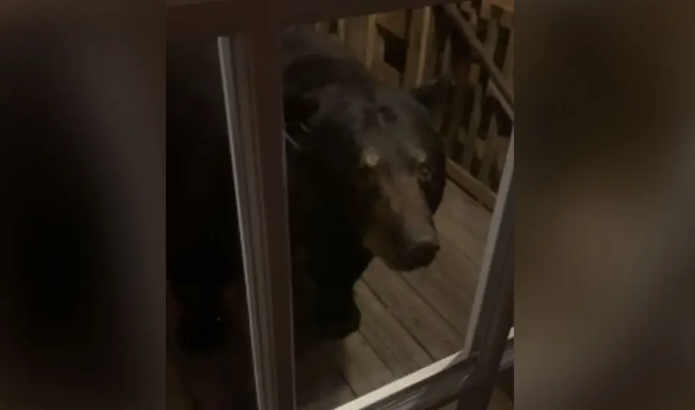 Desliza las imágenes para ver más detalles sobre estas imágenes que impresionaron a los usuarios. Foto: captura de YouTube Desliza las imágenes para ver más detalles sobre estas imágenes que impresionaron a los usuarios. Foto: captura de YouTube