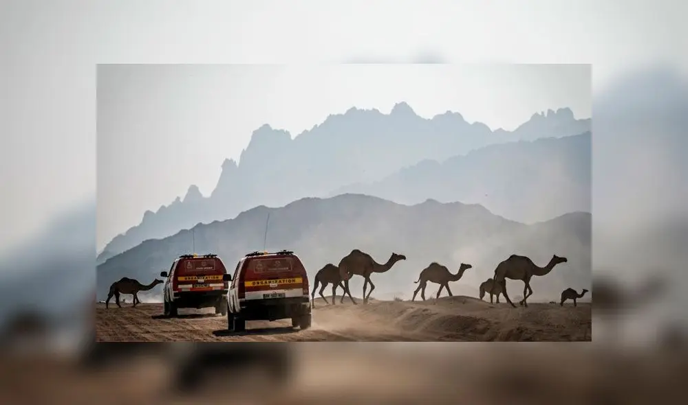 El rally Dakar 2020 constará de 12 etapas y casi 8 000 kilómetros. Foto: Eric Varglolu / DPPI