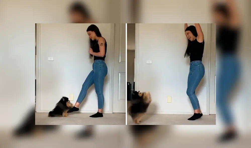 Desliza las imágenes hacia la izquierda para apreciar la divertida coreografía que realizó un perro con su dueña. Desliza las imágenes hacia la izquierda para apreciar la divertida coreografía que realizó un perro con su dueña.