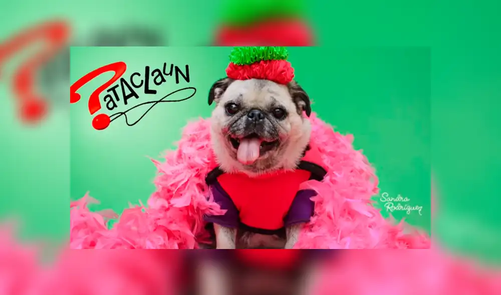 Mascota de Queca es fotografiada vestida de Queca. Foto: Sandra Rodríguez