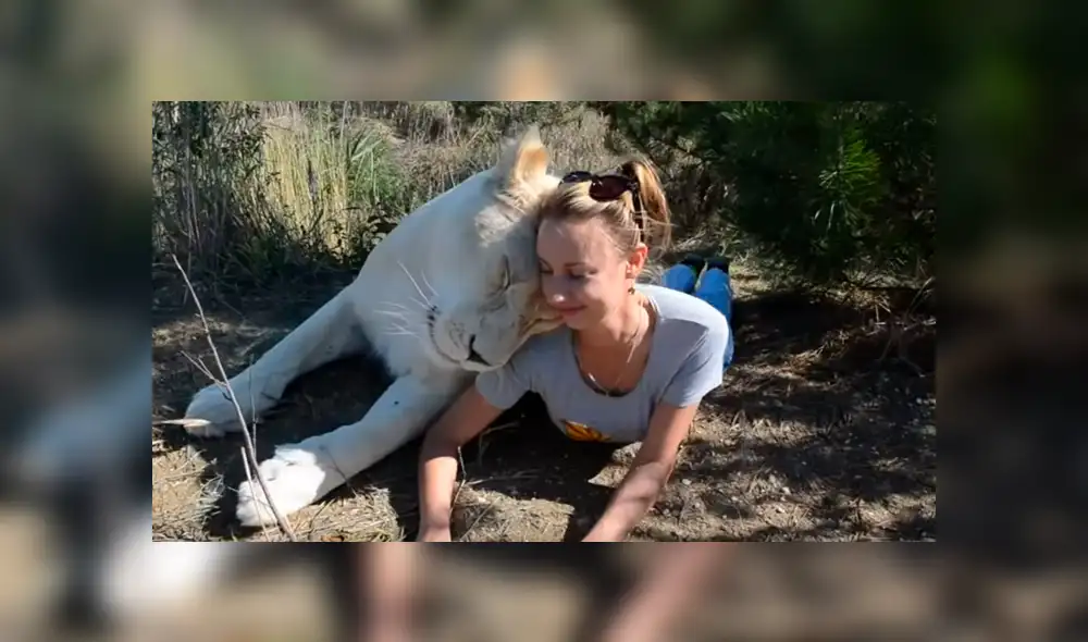 El video viral de YouTube muestra la reacción que tuvo una leona al toparse con una modelo hacía safari dentro de un peligroso campo de felinos.