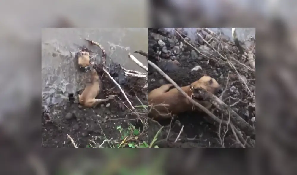 Desliza las imágenes para ver más detalles sobre esta escena que es viral en YouTube. Desliza las imágenes para ver más detalles sobre esta escena que es viral en YouTube.