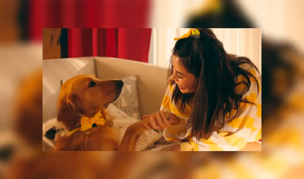 Facebook: Si te gustan los perros el video de Marshmello y Miranda Cosgrove te hará llorar