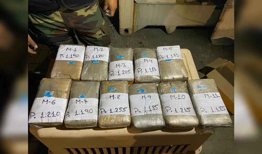 Once paquetes de cocaína habían sido camuflados en un contenedor que iba ser enviado al extranjero Once paquetes de cocaína habían sido camuflados en un contenedor que iba ser enviado al extranjero
