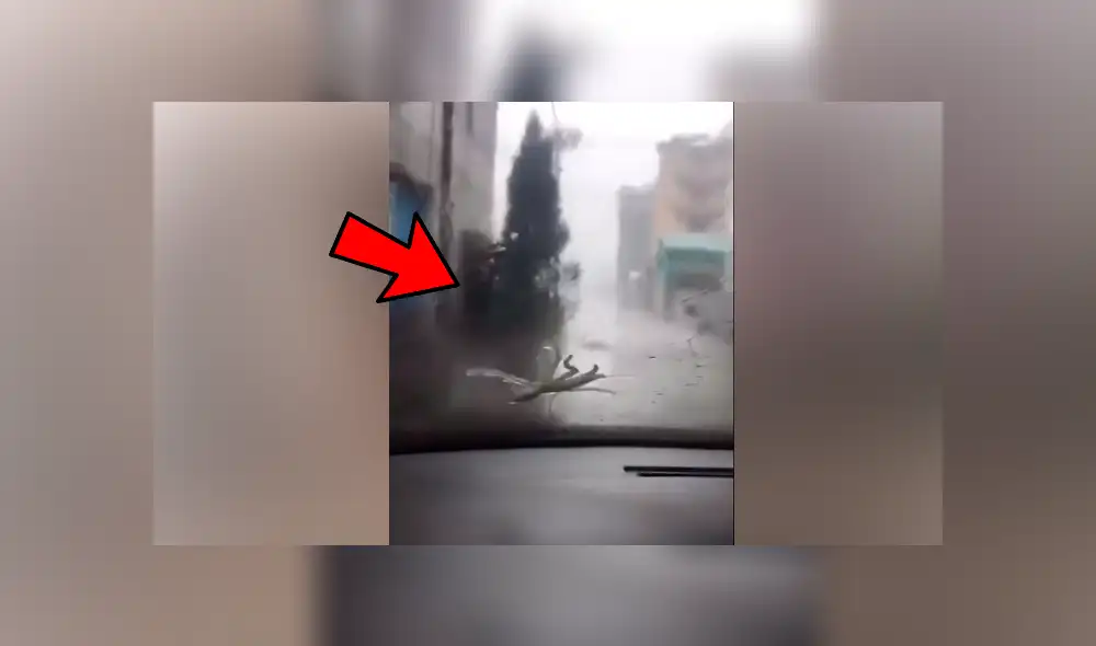 Facebook viral: misteriosa ‘criatura’ aparece mientras hombre conduce vehículo y por poco ocasiona accidente