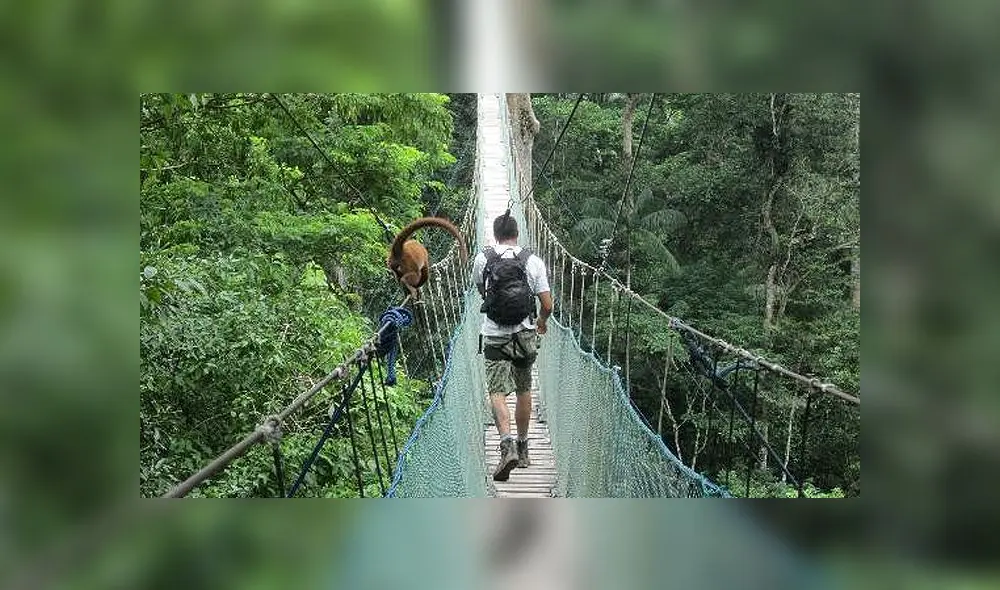 Pasaje a un sol para viajar a cualquier destino del Perú termina HOY