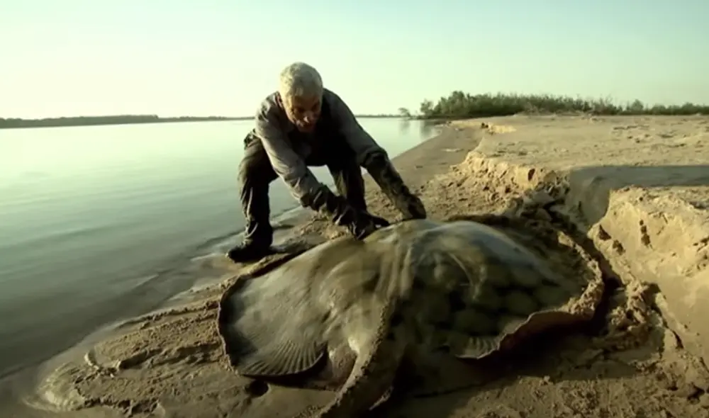 Desliza hacia la izquierda para ver las imágenes del viral. Foto: Captura de Facebook