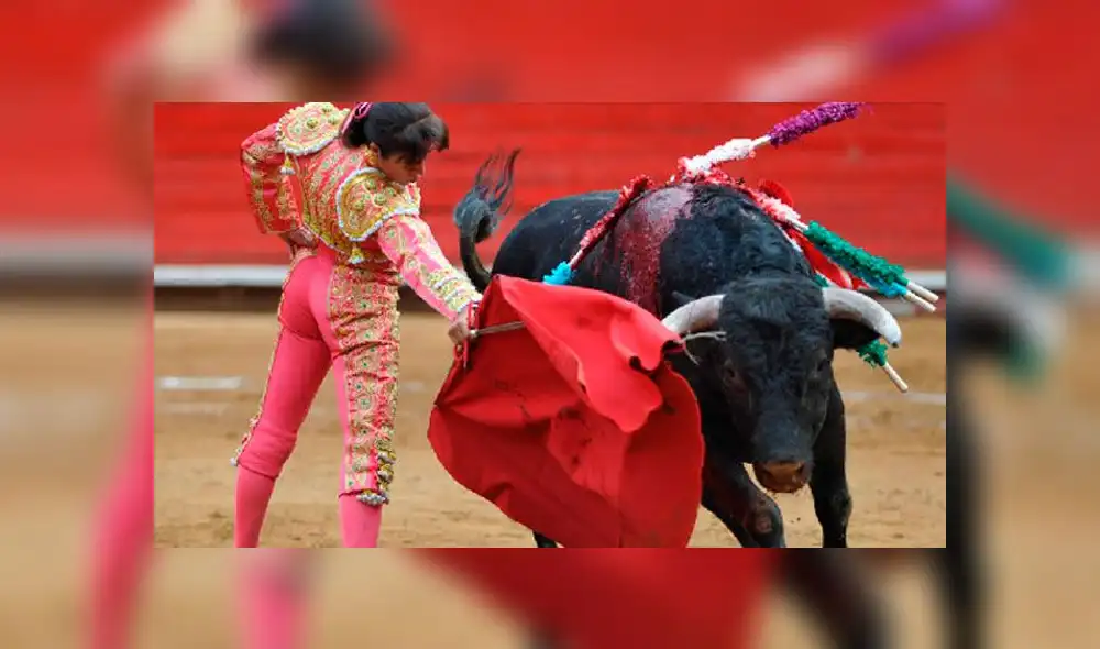 Torera que recibió una cornada en la cara muestra carta que una seguidora le envió