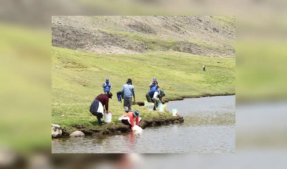 Huancavelica: Repueblan laguna Chancahuasi y río Aurahuá con 111 millares de alevinos Huancavelica: Repueblan laguna Chancahuasi y río Aurahuá con 111 millares de alevinos