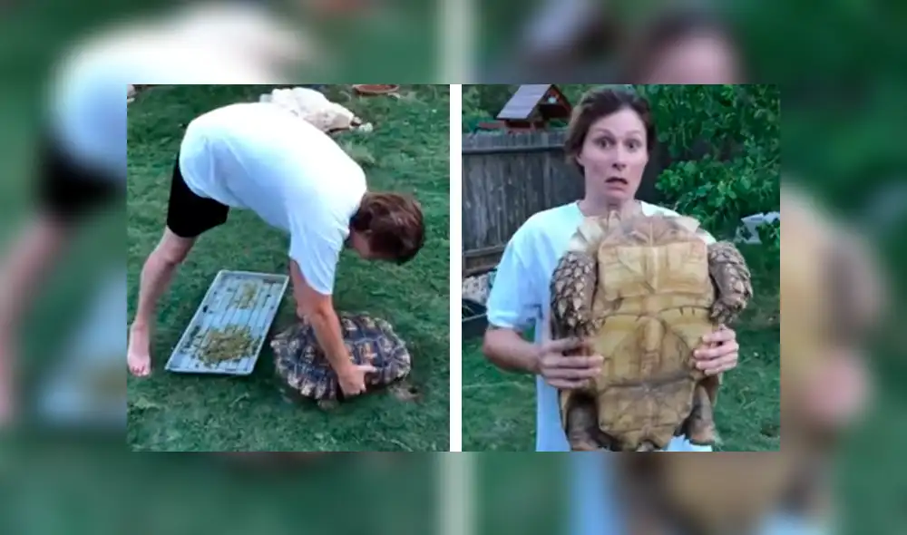YouTube viral: Chica carga a su enorme criatura y esta le orina encima [VIDEO]