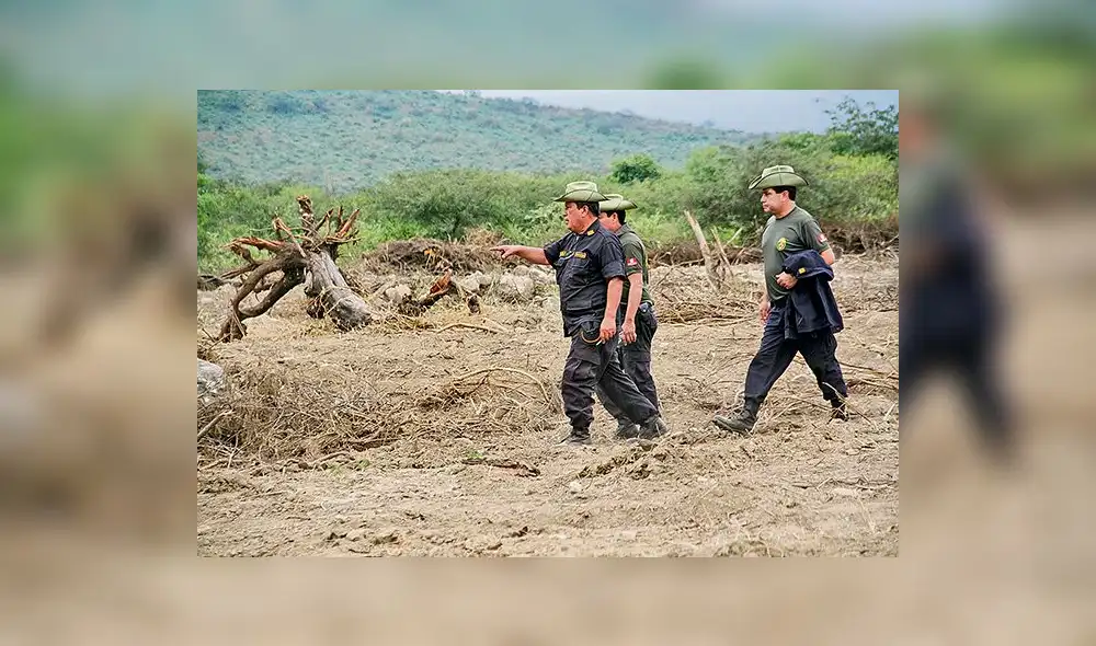 Siete mil hectáreas de bosques secos pierde Lambayeque por tala ilegal Siete mil hectáreas de bosques secos pierde Lambayeque por tala ilegal