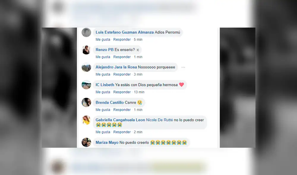 Facebook viral: sanmarquinos lloran muerte de ‘Perrovaca’ y le dedican emotivas palabras [FOTOS]