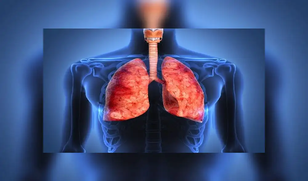 Russian President Vladimir Putin chairs a Security Council meeting via a video link at the Novo-Ogaryovo state residence outside Moscow on April 16, 2020. (Photo by Alexey DRUZHININ / SPUTNIK / AFP) Russian President Vladimir Putin chairs a Security Council meeting via a video link at the Novo-Ogaryovo state residence outside Moscow on April 16, 2020. (Photo by Alexey DRUZHININ / SPUTNIK / AFP)