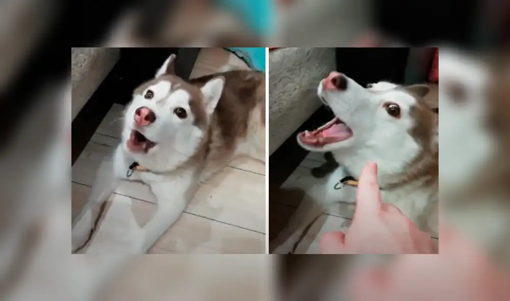 Desliza hacia la izquierda para ver las imágenes del viral de Facebook. Desliza hacia la izquierda para ver las imágenes del viral de Facebook.