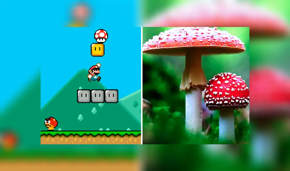 Super Mario Bros y Alicía del país de las maravillas habrían ingerido el mismo hongo.