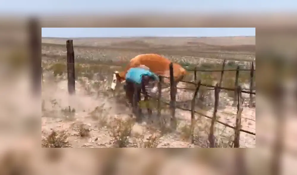 Desliza para ver las imágenes compartidas en YouTube.