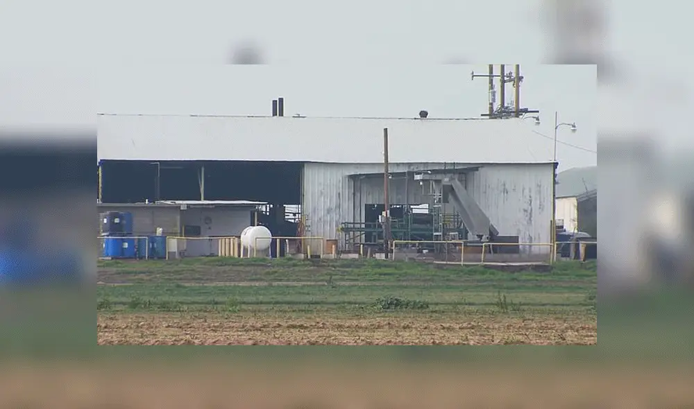 Planta procesadora de la Del Rey Packing Company, donde ocurrió el incidente. Fuente: KGO-TV.