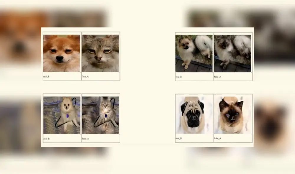 Nueva inteligencia artificial puede convertir a tus mascotas en otros animales. Nueva inteligencia artificial puede convertir a tus mascotas en otros animales.