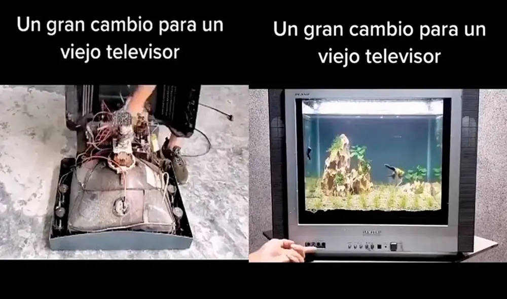 Desliza las imágenes para ver cómo este muchacho convirtió este televisor viejo en una hermosa pecera para sus mascotas. Foto: Captura de TikTok/ Manuel Galdamez