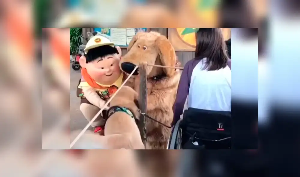 Facebook: perro tiene conmovedora reacción al conocer a su personaje favorito de Up