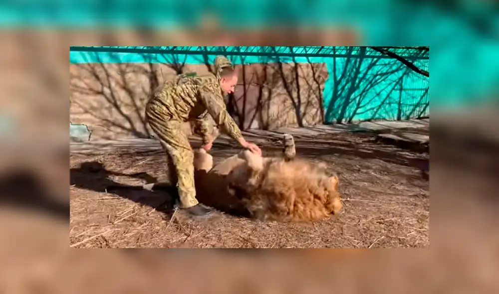 Desliza hacia la izquierda para ver el encuentro que se volvió viral en Facebook de un hombre con un perezoso león. Desliza hacia la izquierda para ver el encuentro que se volvió viral en Facebook de un hombre con un perezoso león.