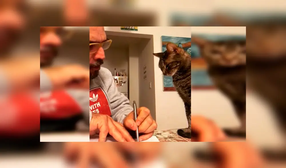 En Facebook, un señor intentó distribuir los quehaceres de la casa con su querida mascota, pero este se queda dormido. En Facebook, un señor intentó distribuir los quehaceres de la casa con su querida mascota, pero este se queda dormido.