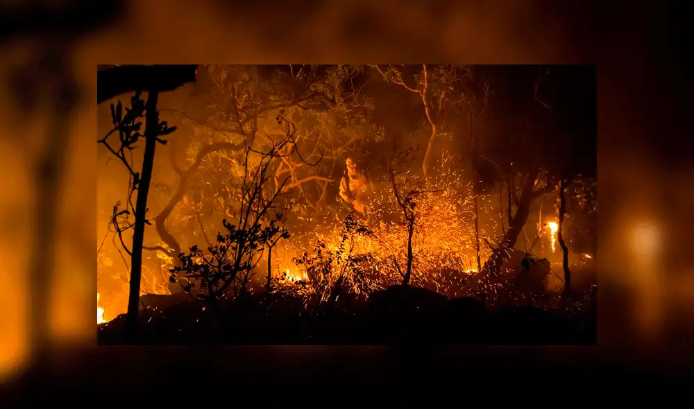Tragedia en Amazonas: los últimos incendios forestales en Sudamérica [FOTOS Y VIDEOS]