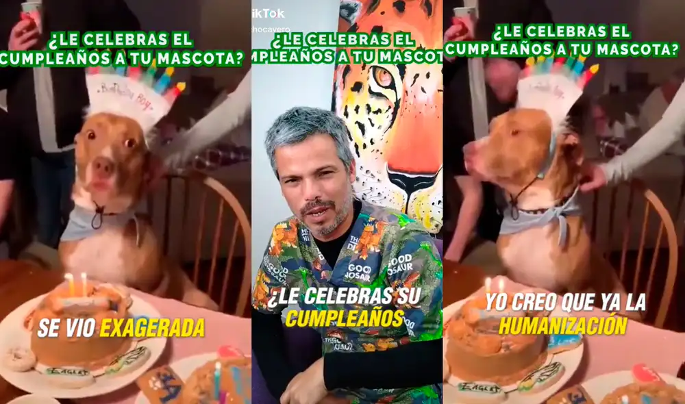 El médico veterinario peruano recomendó llevar a las mascotas a lugares con menos gente. Foto: composición LR/TikokPanchoCavero El médico veterinario peruano recomendó llevar a las mascotas a lugares con menos gente. Foto: composición LR/TikokPanchoCavero