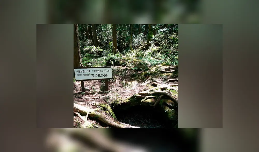 Google Maps: conoce todo sobre Aokigahara, el ‘bosque de los suicidios’ ubicado en Japón Google Maps: conoce todo sobre Aokigahara, el ‘bosque de los suicidios’ ubicado en Japón