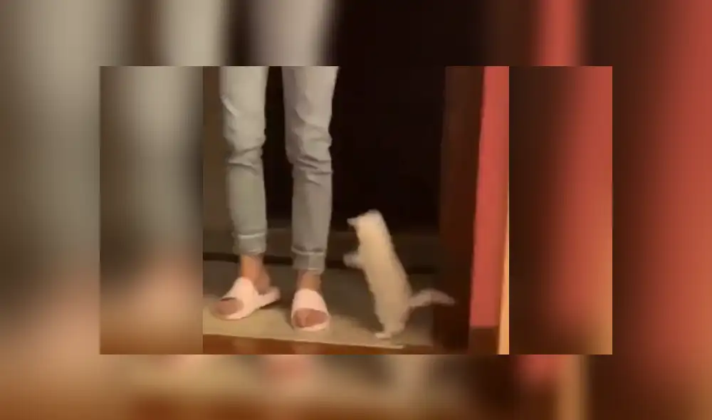 Desliza las imágenes para conocer más sobre esta escena que ya es viral en Facebook. Desliza las imágenes para conocer más sobre esta escena que ya es viral en Facebook.