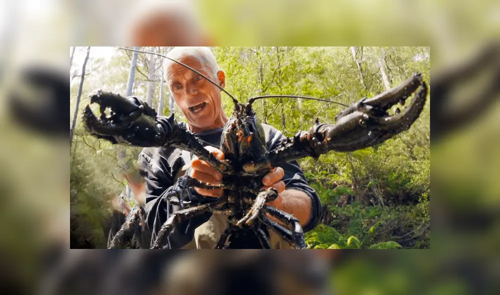 Desliza hacia la izquierda para ver a los animales que un pescador encontró y se volvió viral en YouTube.