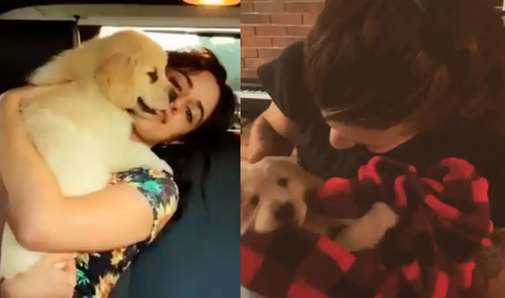 Los artistas Camila Cabello y Shawn Mendes enternecieron a sus fans al presentar al cachorro que llamaron Tarzan. Fotos: @shawnmendes/@camila_cabello Instagram
