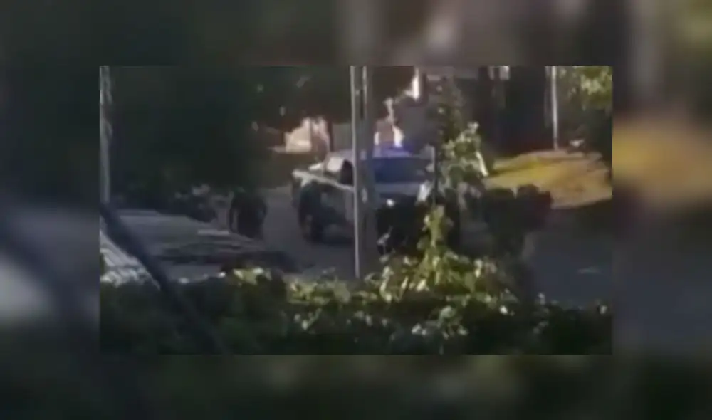 Los sujetos siguieron lanzando objetos cuando el vehículo daba marcha atrás. Fuente: captura de pantalla.