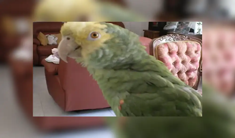 Desliza para ver los detalles del video que se volvió viral en Facebook. Foto: Captura. Desliza para ver los detalles del video que se volvió viral en Facebook. Foto: Captura.