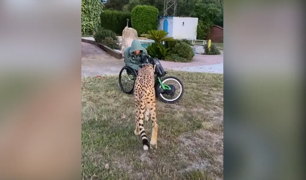 Desliza hacia la izquierda para ver las imágenes del video viral. Foto: Captura de Facebook.