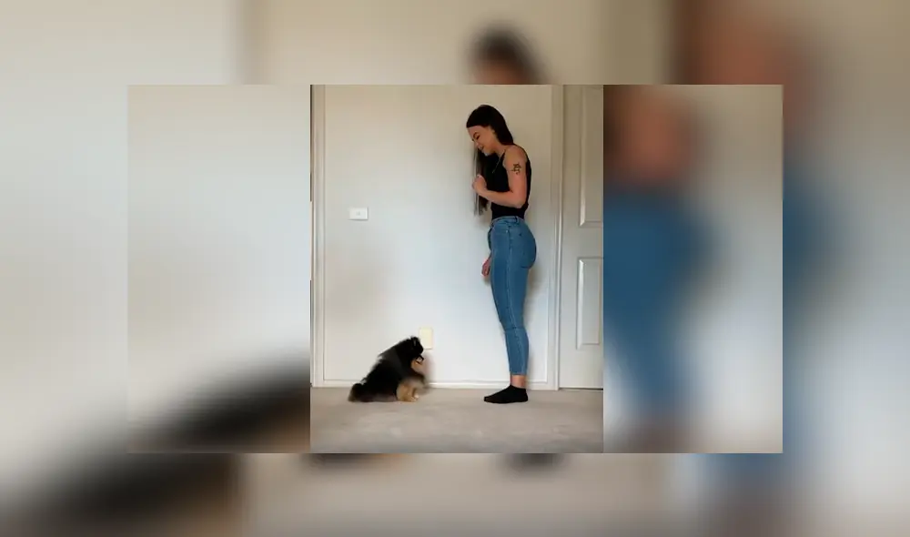 Desliza las imágenes hacia la izquierda para apreciar la divertida coreografía que realizó un perro con su dueña. Desliza las imágenes hacia la izquierda para apreciar la divertida coreografía que realizó un perro con su dueña.