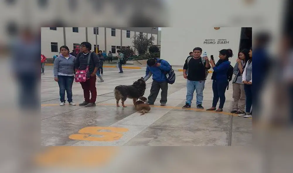Facebook: alumnos de la UNMSM comparten fotografías inéditas de 'Perrovaca' [FOTOS]