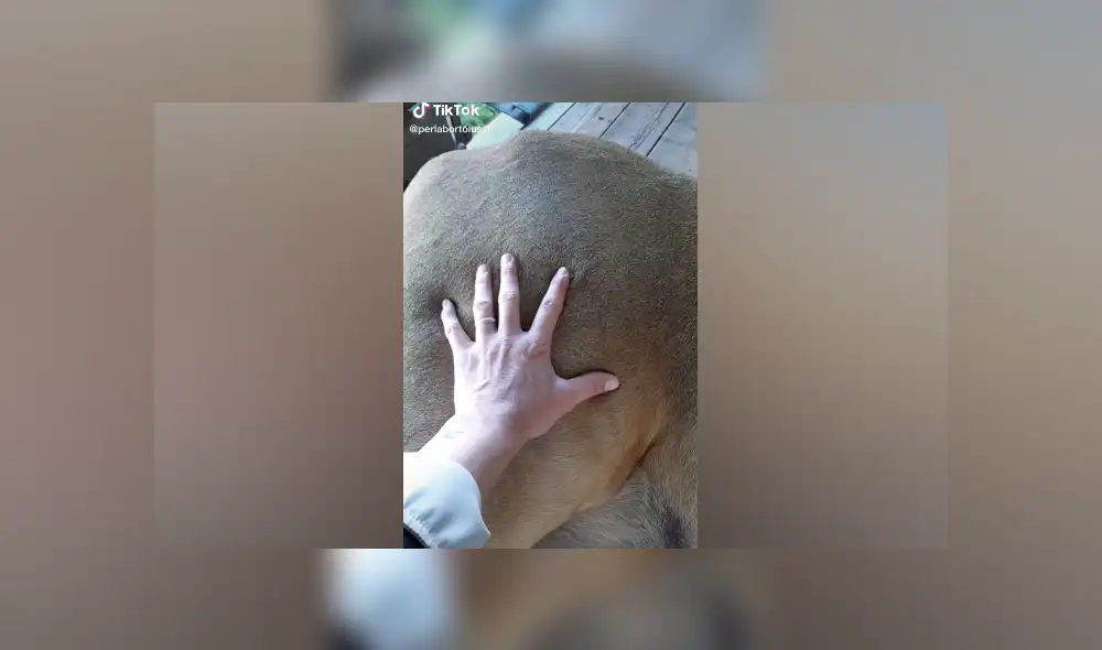 Desliza hacia la izquierda para ver las imágenes del viral de Facebook. Foto: Captura. Desliza hacia la izquierda para ver las imágenes del viral de Facebook. Foto: Captura.