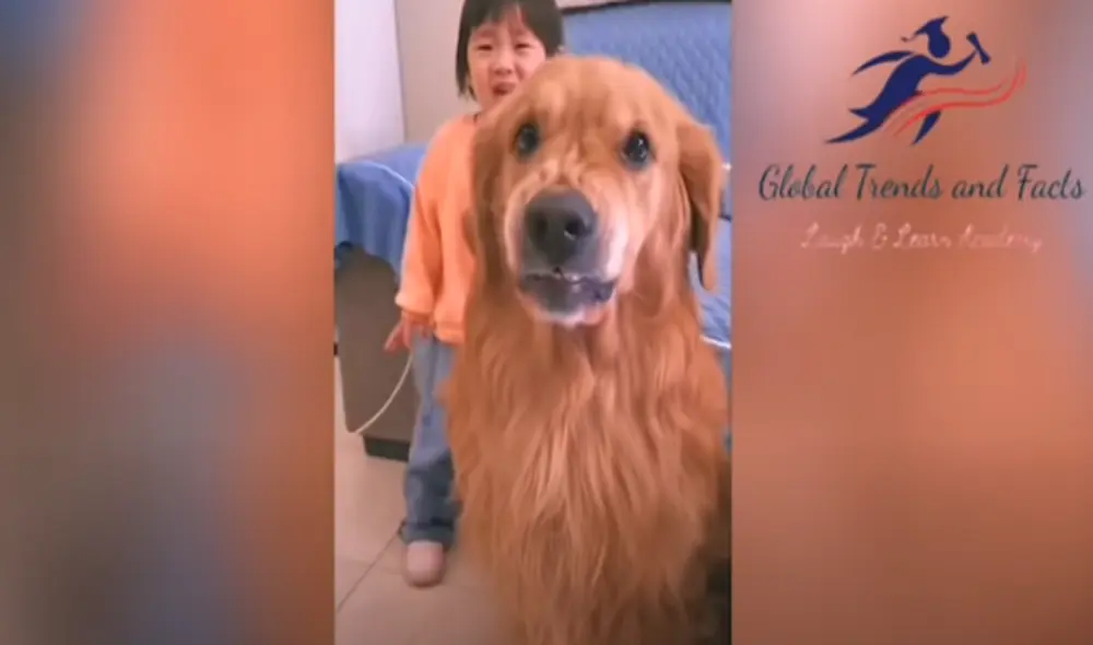 Desliza hacia la izquierda para ver las imágenes del video viral. Foto: Captura de Facebook.