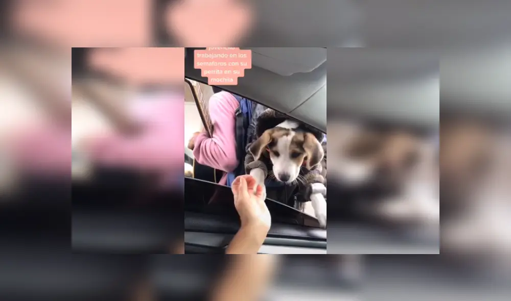 Desliza las imágenes para ver más sobre este conmovedor gesto que tuvo una joven. (Foto: captura / TikTok) Desliza las imágenes para ver más sobre este conmovedor gesto que tuvo una joven. (Foto: captura / TikTok)