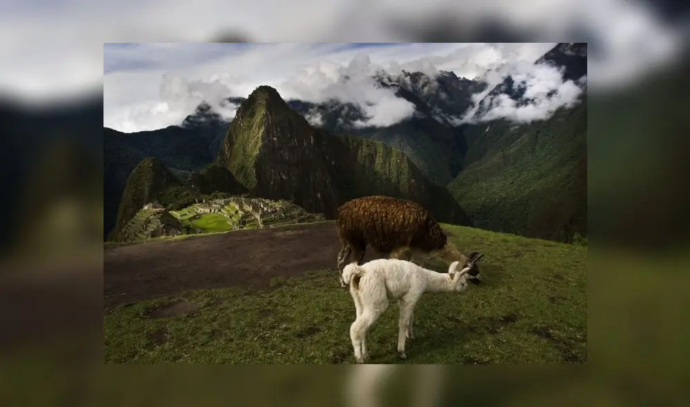 ¿Qué dijo CN Traveller sobre Machu Picchu? Foto: Pexels