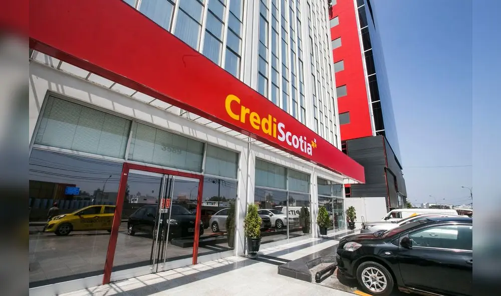 Crediscotia Crediscotia