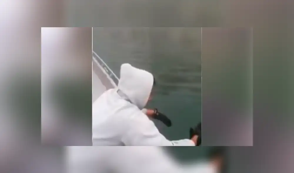 YouTube vira: intenta atrapar a 'extraña criatura' y termina 'mordisqueado' por el animal [VIDEO]