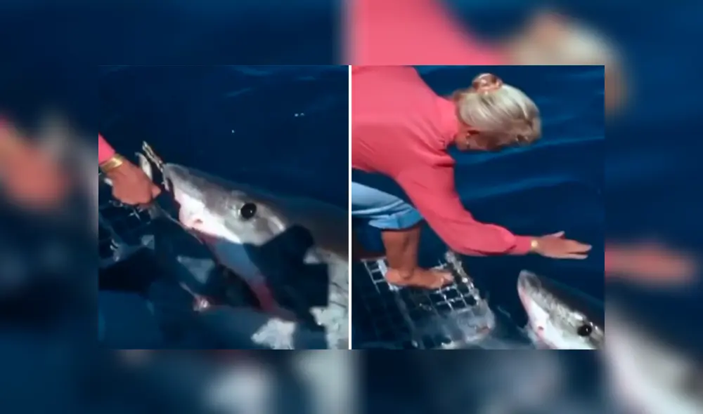 Desliza para ver las imágenes más impactantes del video que se hizo viral en Facebook. Desliza para ver las imágenes más impactantes del video que se hizo viral en Facebook.