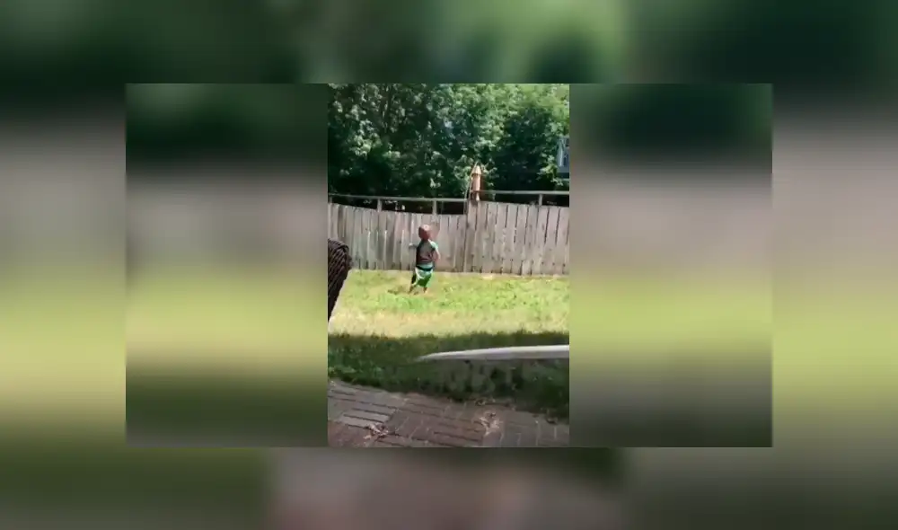 Desliza las imágenes hacia la izquierda para apreciar el amoroso momento que protagonizó un niño junto a un perro. Desliza las imágenes hacia la izquierda para apreciar el amoroso momento que protagonizó un niño junto a un perro.