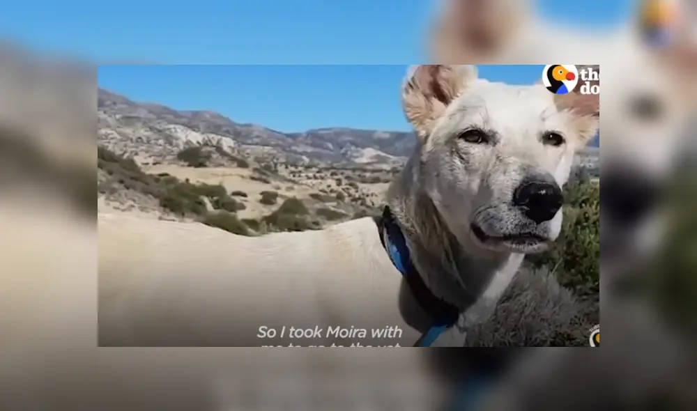 Desliza hacia la izquierda para ver las tiernas imágenes del viral de Facebook. Foto: Captura.