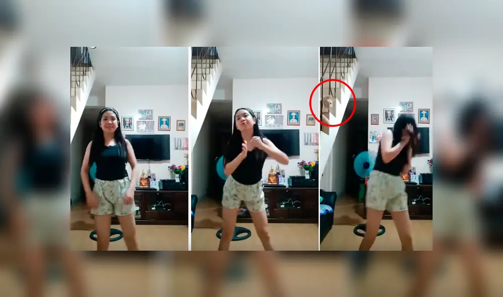 Desliza hacia la izquierda para ver el momento en que aparece el furioso gato. Imágenes del video viral de YouTube.