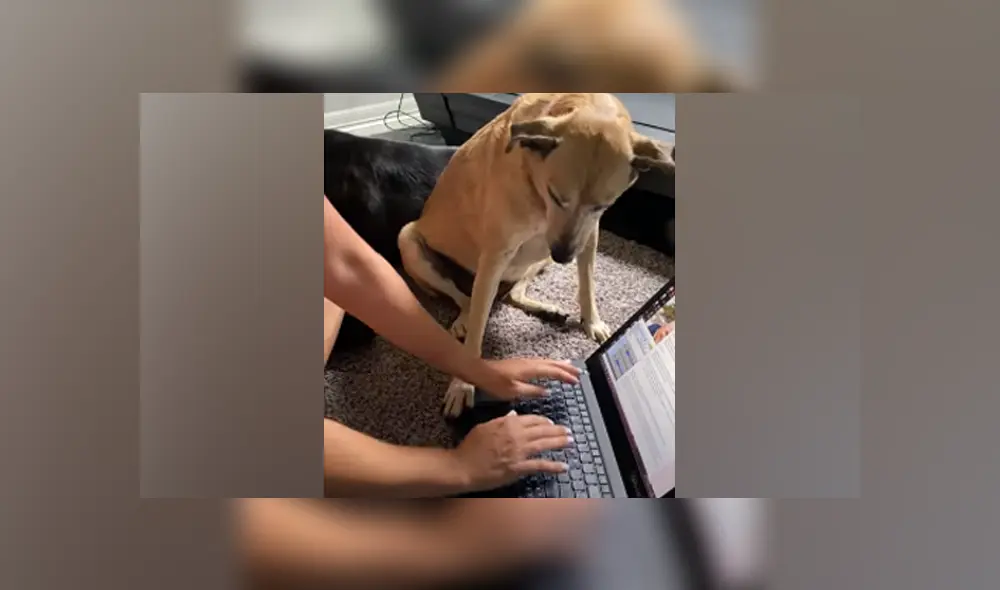 Desliza hacia la izquierda para ver las imágenes del viral de YouTube. Foto: Captura.