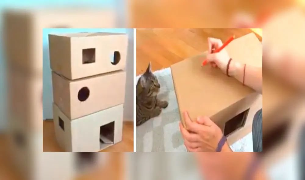 En Facebook, un joven utilizó cartón para fabricar una casa especial para su adorado gato y obtuvo un buen resultado. En Facebook, un joven utilizó cartón para fabricar una casa especial para su adorado gato y obtuvo un buen resultado.